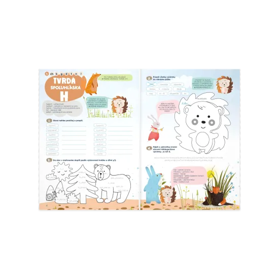 Pracovný zošit pre 2. ročník ZŠ na precvičovanie spoluhlások a správneho písania.