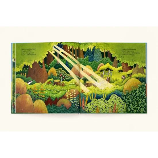 Obálka detskej knihy Búdkovo od Zuzany Smatanovej – ilustrácie vtáčikov a čarovného lesa