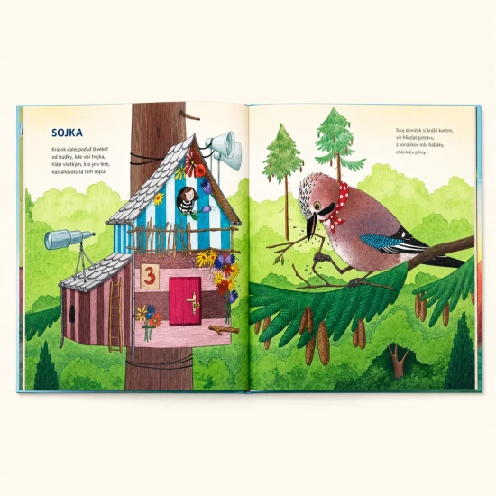 Obálka detskej knihy Búdkovo od Zuzany Smatanovej – ilustrácie vtáčikov a čarovného lesa