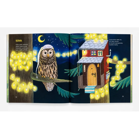 Obálka detskej knihy Búdkovo od Zuzany Smatanovej – ilustrácie vtáčikov a čarovného lesa