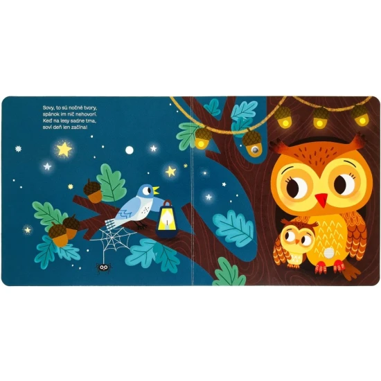 Nechaj sa ukolísať k spánku aj ty s touto veršovanou knihou so zvukmi a blikajúcimi svetielkami.