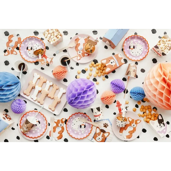 Papierové taniere Dalmatín na detskú narodeninovú párty