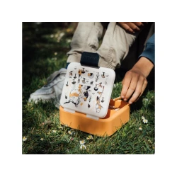 Desiatový box Lesné zvieratá