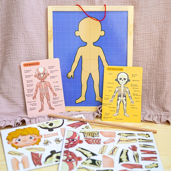  Magnetická skladačka Ľudské telo pre deti